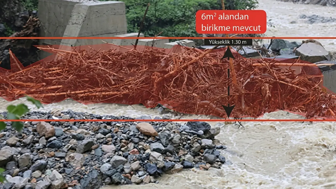 Yapay Zekâ Destekli Görüntü Analizi